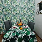 Maya's - Dluga 66